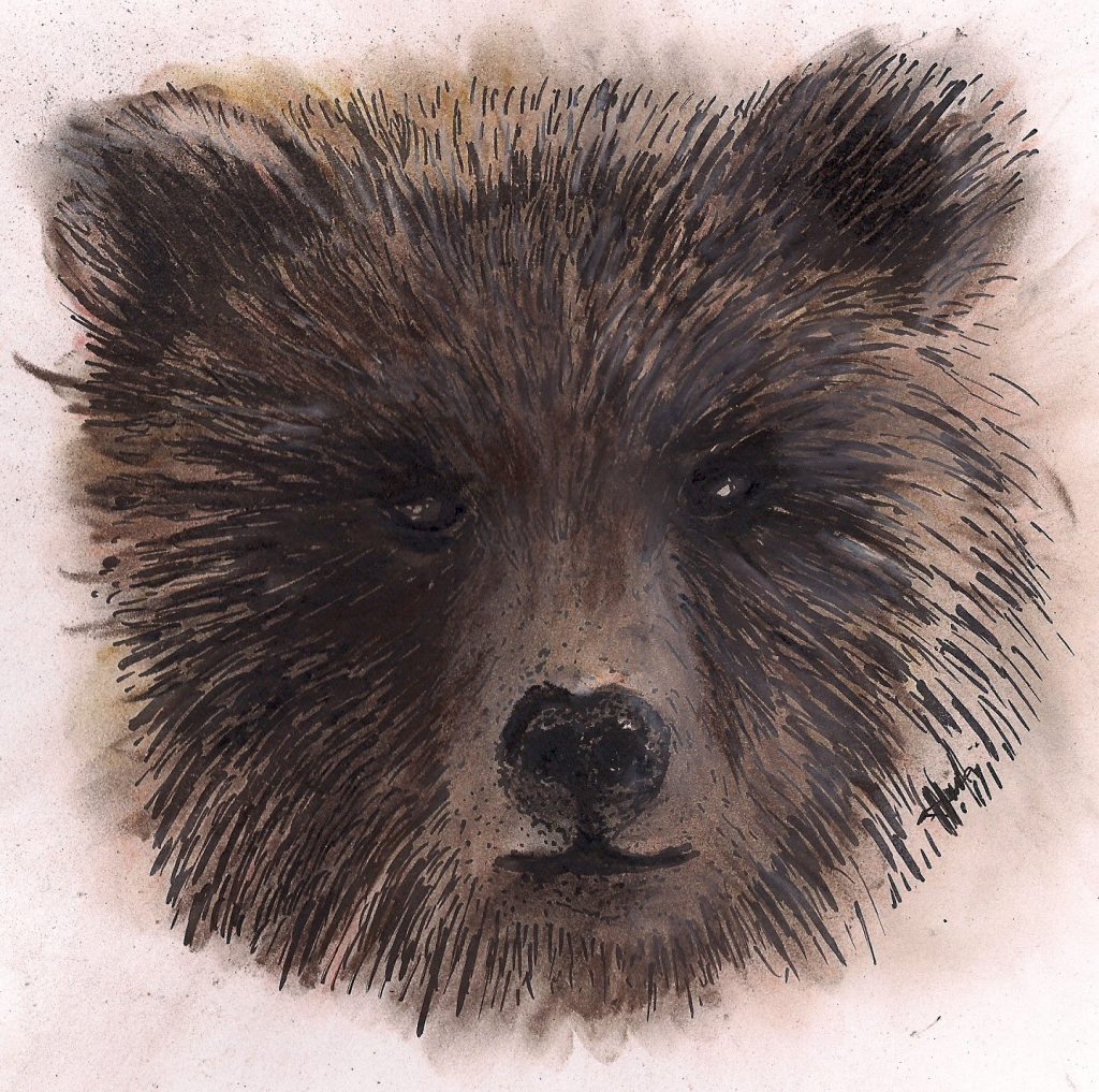 Bear Wild