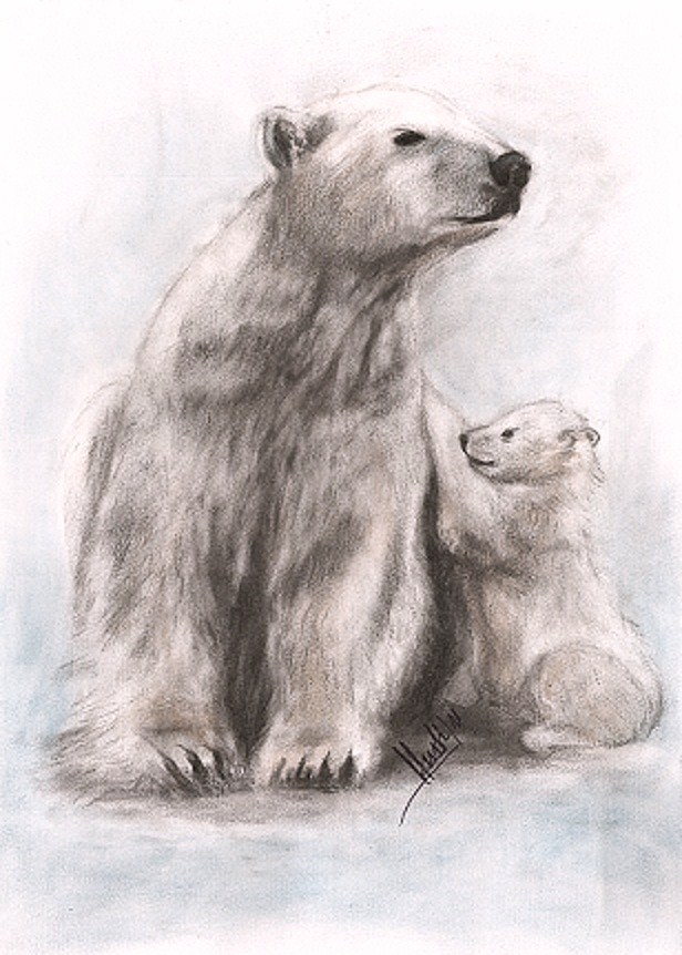 Eisbär mit Baby dunkler