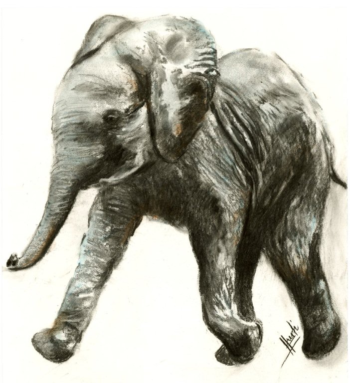 Elefant