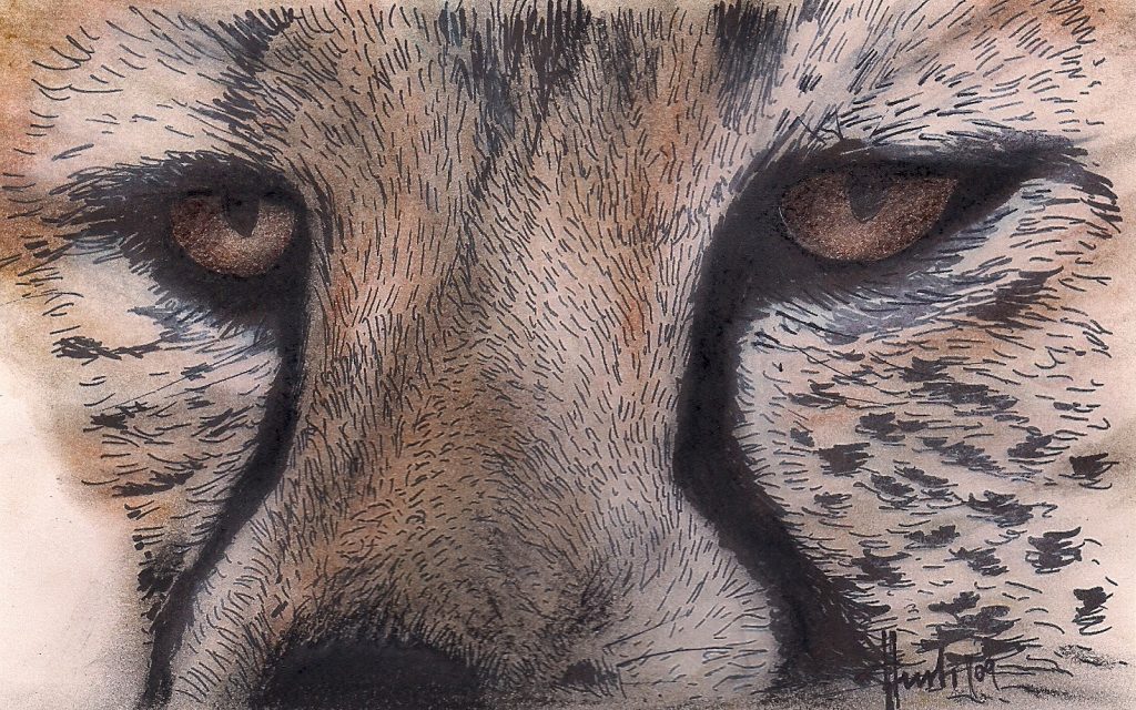 Gepard