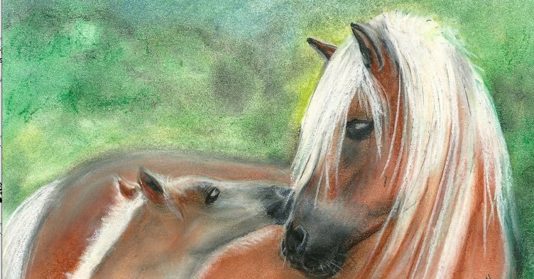 Haflinger mit Fohlen gezeichnet