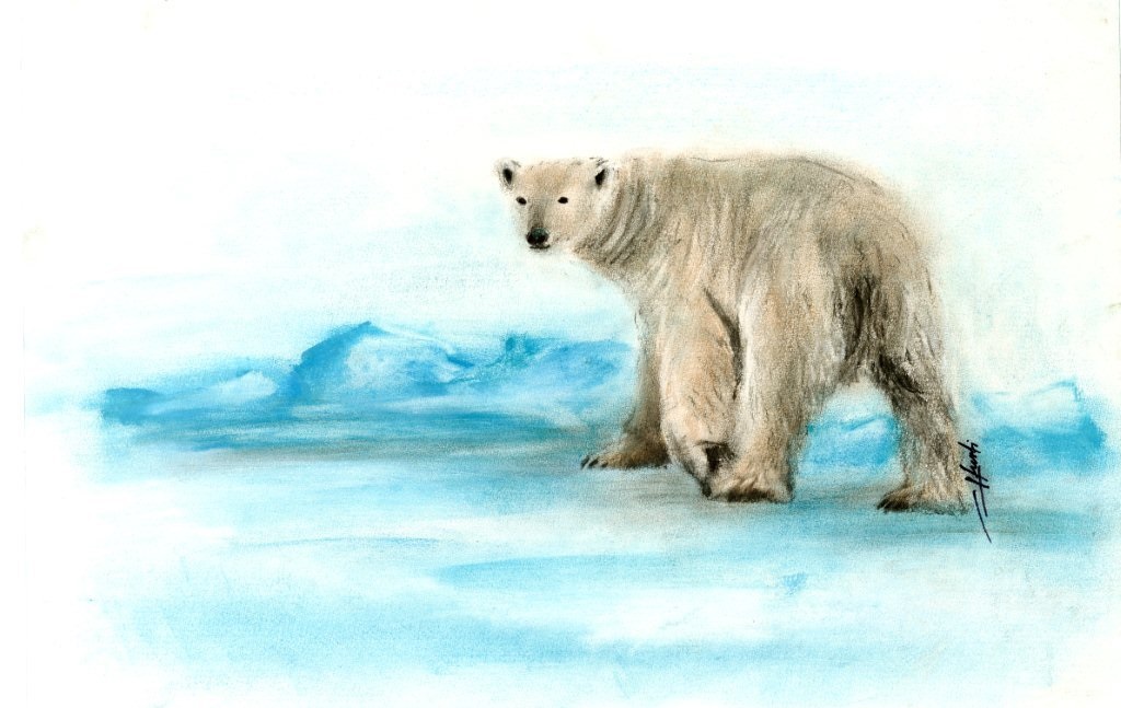 Hurtis Eisbär Knut