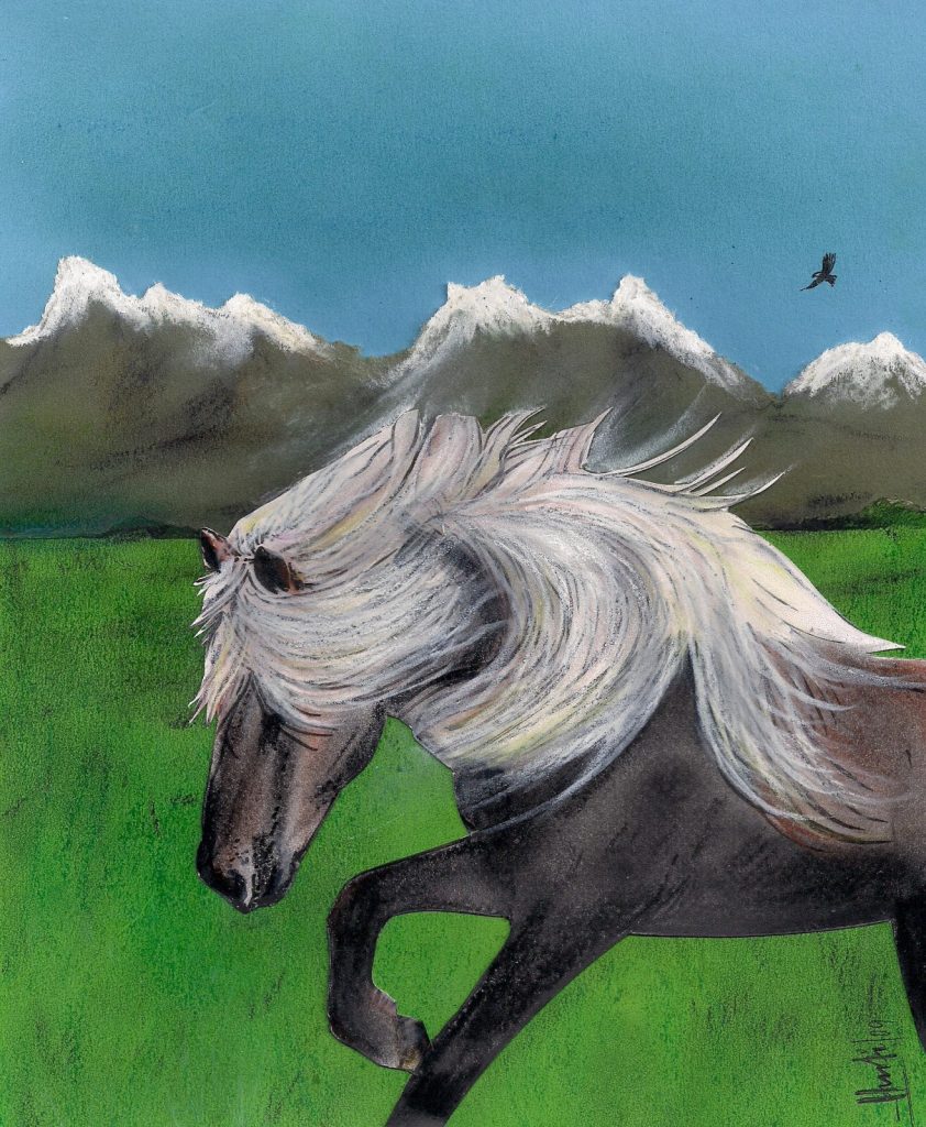 Islandpony mit Mähne
