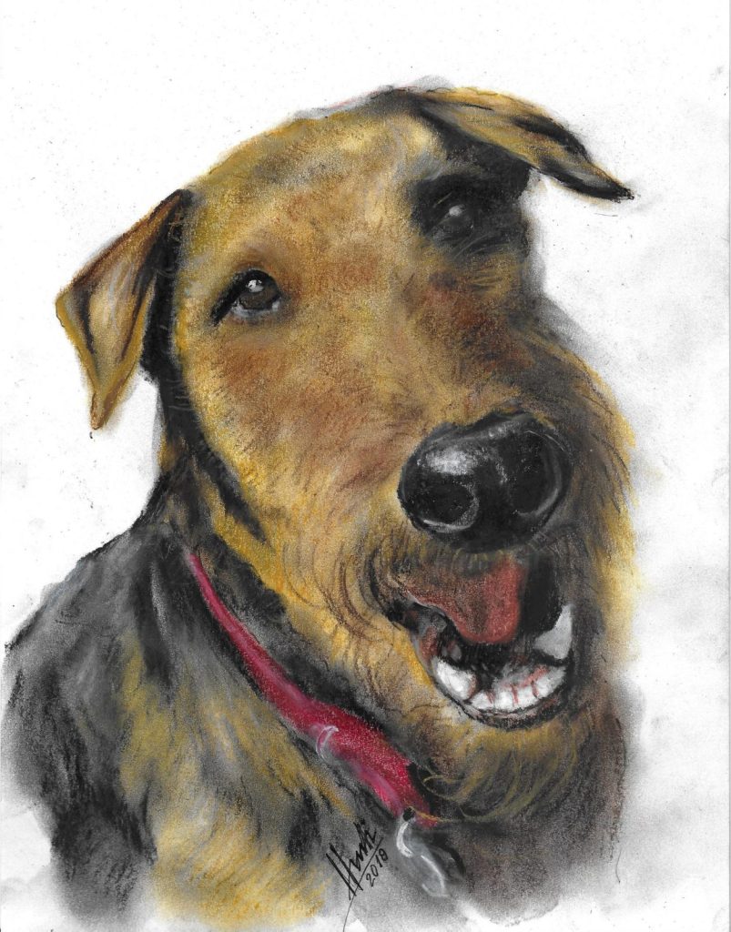 Jud Hund