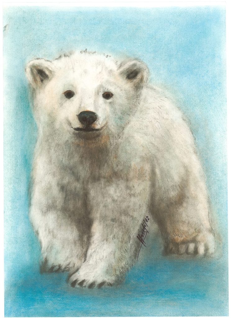 Knut