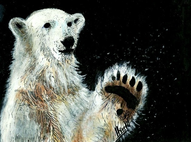 Knut winkend farbig