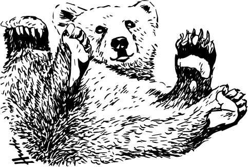 M13 Bär