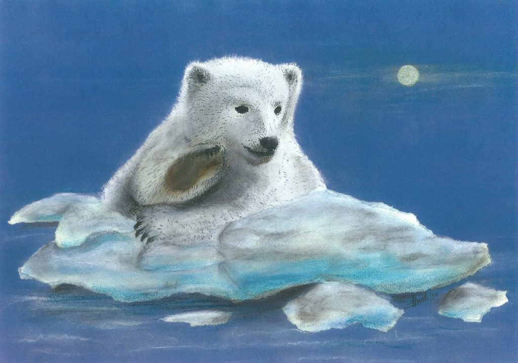 Polarbär auf Eis